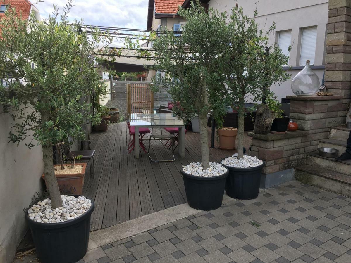 La Terrasse Selestadienne Sélestat Exterior foto